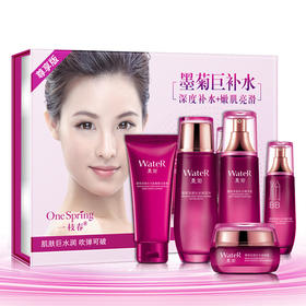 OB-AL6912一枝春墨菊巨补水五件套装送6片墨菊补水面膜TZW
