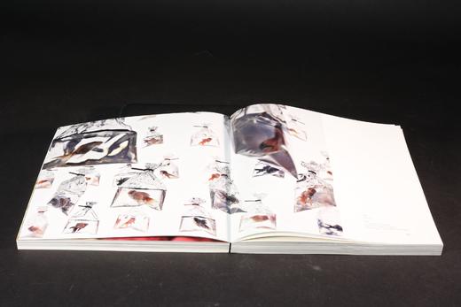 起源与湮灭——艺术进化论 商品图4