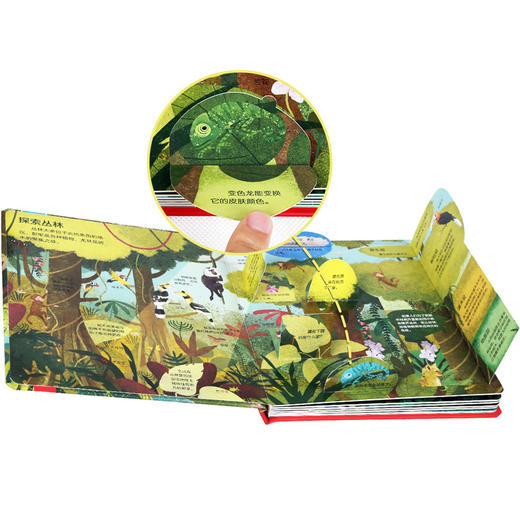 乐乐趣揭秘翻翻书低幼版第二辑（4册）  揭秘丛林 少儿 商品图1