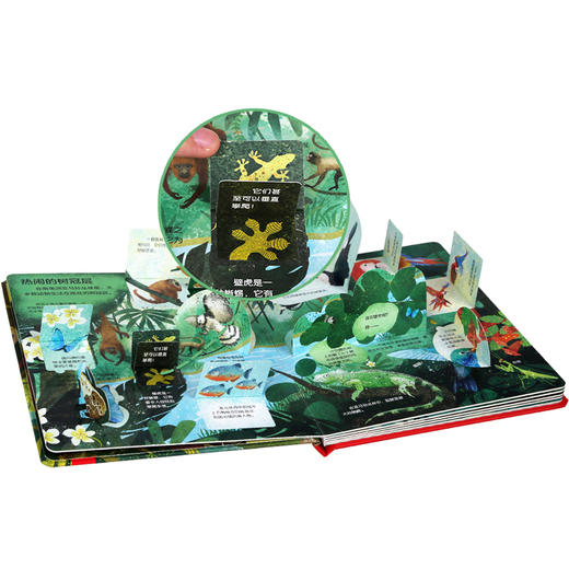 乐乐趣揭秘翻翻书低幼版第二辑（4册）  揭秘丛林 少儿 商品图2