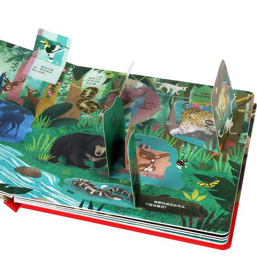 乐乐趣揭秘翻翻书低幼版第二辑（4册）  揭秘丛林 少儿 商品图4