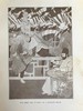 约1910年 鲁拜集 吉尔伯特·詹姆斯14幅插图 漆布面精装大32开 商品缩略图8