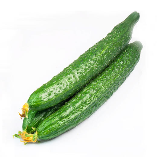 黄瓜2.5斤±100g【团购价9.9元/份】 商品图0