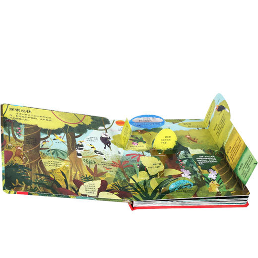 乐乐趣揭秘翻翻书低幼版第二辑（4册）  揭秘丛林 少儿 商品图3