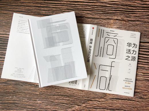 熵减 华为活力之源 华为大学 著 官方授权发布，任正非作序 华为内部培训教材 中信出版社图书 正版书籍 商品图6