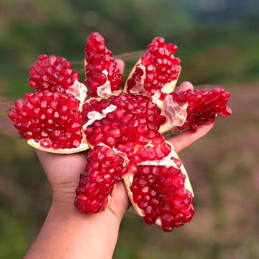 【生鲜果蔬类】 商品图2