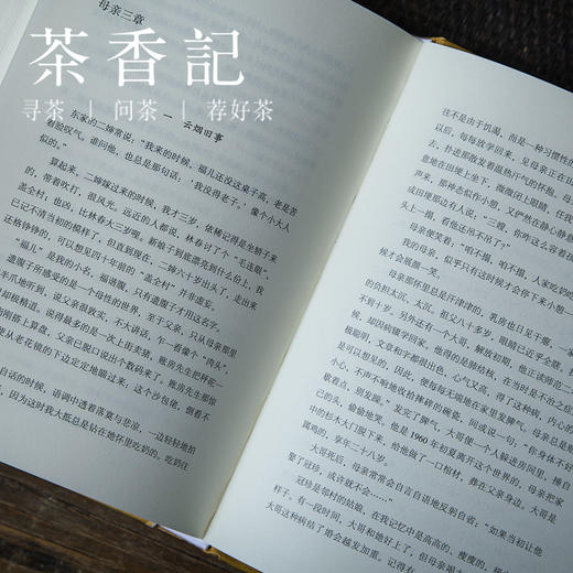 茶香记 《湮没的辉煌(精)》 历史散文 鲁迅文学奖获奖作品 经典文学作品 商品图4