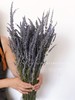 薰衣草｜一大扎 商品缩略图1