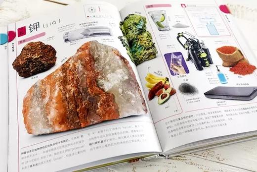 《DK儿童图解百科全书 化学元素》精装 专为6-14岁孩子设计的化学启蒙书 附赠 超大全彩元素周期表 商品图3