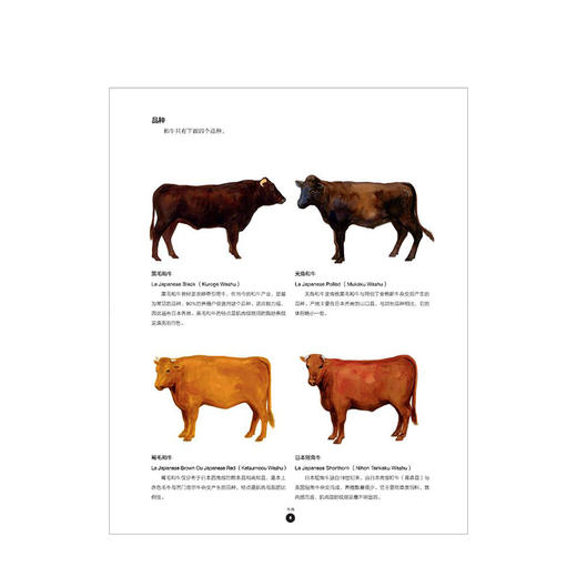 肉料理原来是这么回事儿 [法]亚瑟·勒凯恩 著 饮食生活新提案系列 中信出版社图书 正版书籍 商品图3