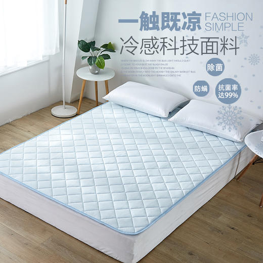 俏居凉感床垫——2019新款冷感值升级 商品图0