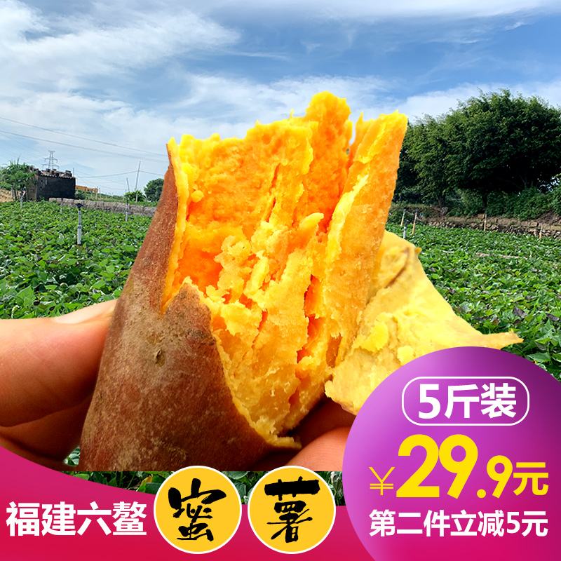 产地亲采直供：福建六鳌蜜薯（第二件立减5元！！）