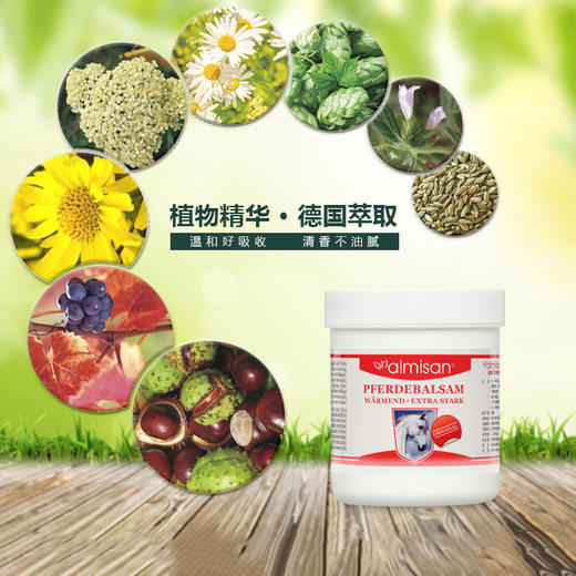 德国艾美森马栗香膏——家庭常备缓解疼痛凝胶 商品图5
