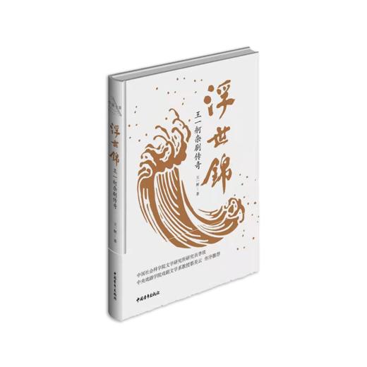 《浮世锦》王一舸著 商品图0