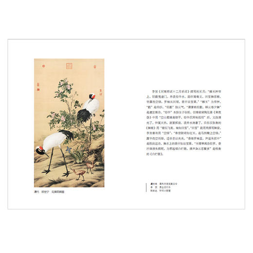 日读古诗词 朱伟 著  中信出版社图书 正版书籍 商品图4