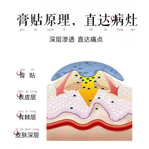 宫廷通络贴——泰国古老祖传秘方 商品图3