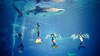 浩海立方海洋公园+飞行体验15分钟 商品缩略图4