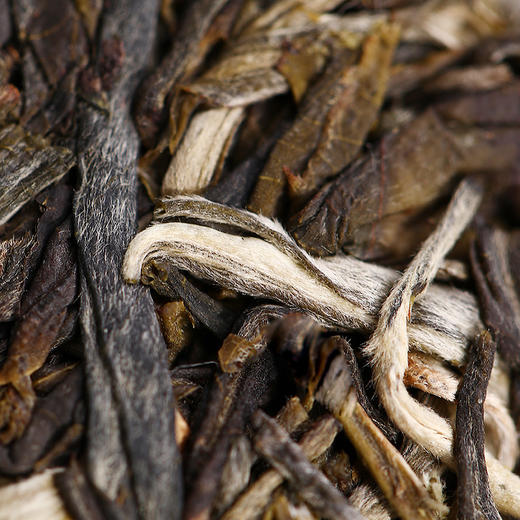 （售罄）普洱生茶 老同志 2019年布朗山章家三队生茶 500g 商品图1