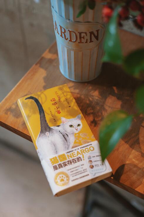《猫国物语》+《子猫絮语》+《猫城小事》-分销 商品图8