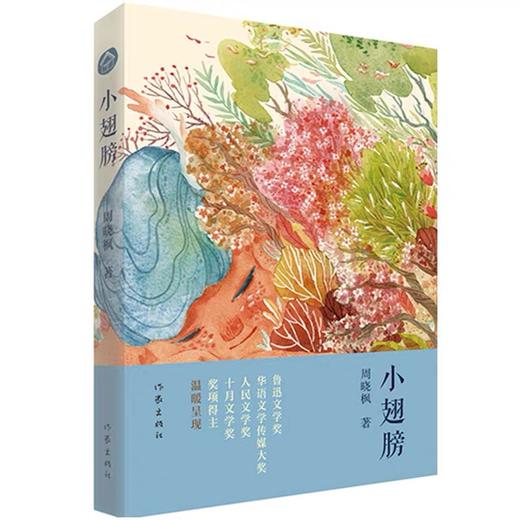 小翅膀 商品图0