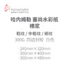 清仓 -211号 德国哈内姆勒 塞尚纯棉浆水彩本 细纹中纹粗纹 300g 商品缩略图1