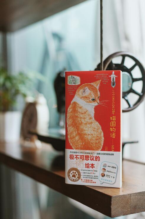 《猫国物语》+《子猫絮语》+《猫城小事》-分销 商品图7