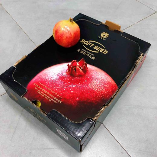 【生鲜果蔬类】 商品图5