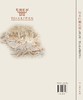 库木吐喇石窟已揭取壁画保护修复研究报告 商品缩略图1
