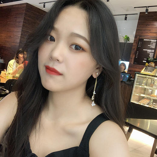 BJ-HE960奢华超闪蝴蝶锆石耳环气质韩国长款耳钉 商品图2