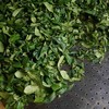19年冰岛古树白茶，精选明前一芽二叶古树白茶，pk福鼎牡丹级，收藏潜力巨大，限量20kg 商品缩略图9