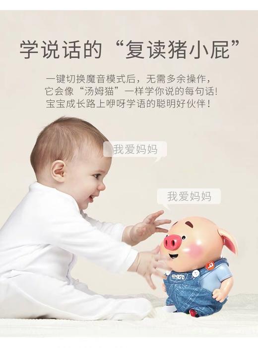 会说话的猪小屁 商品图1