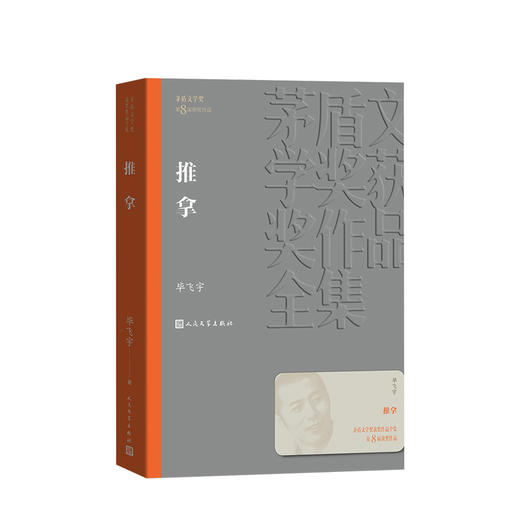 第八届茅盾文学奖获奖作品：推拿 长篇小说 毕飞宇 著 文学 商品图0