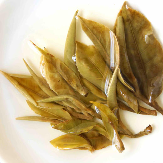 19年冰岛古树白茶，精选明前一芽二叶古树白茶，pk福鼎牡丹级，收藏潜力巨大，限量20kg 商品图5