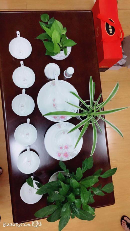 陶瓷28头 景德镇瓷器-JF 商品图1