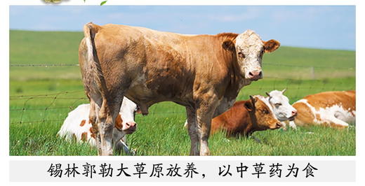 额尔敦 安格斯牛肉块5斤 商品图2