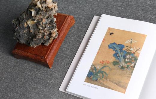 日读古诗词 朱伟 著  中信出版社图书 正版书籍 商品图12