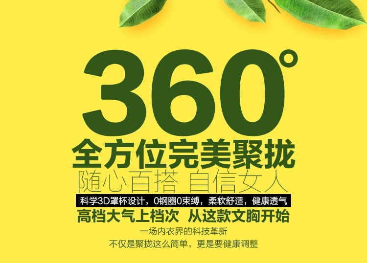 2806922404_1208726649