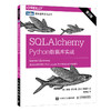 SQLAlchemy Python数据库实战第二2版 商品缩略图0