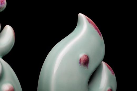 大美林鸡 商品图5