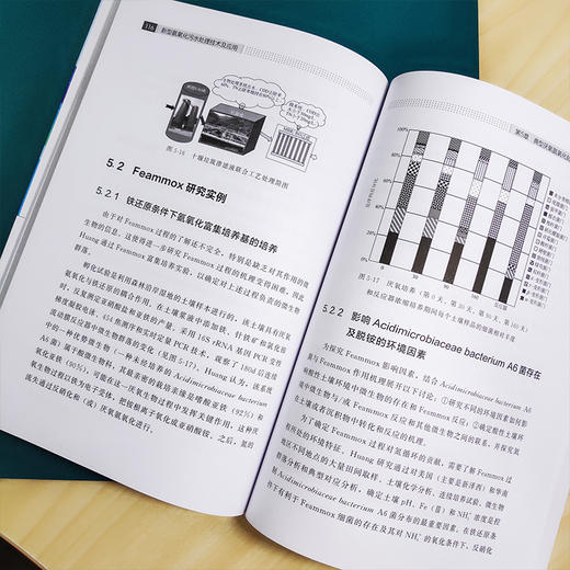 新型氨氧化污水处理技术及应用 商品图7