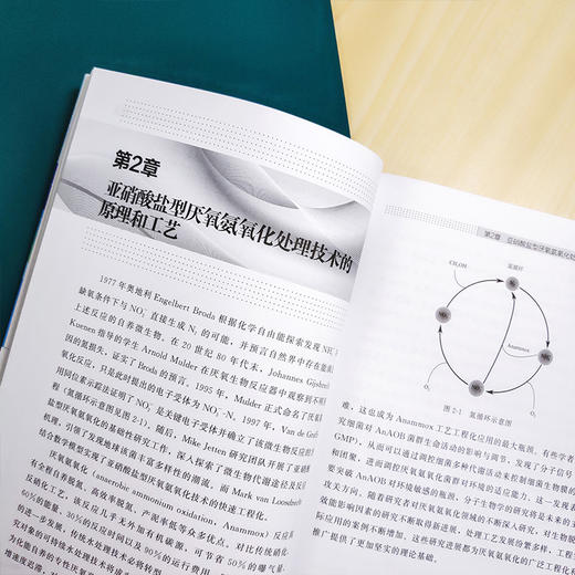 新型氨氧化污水处理技术及应用 商品图8