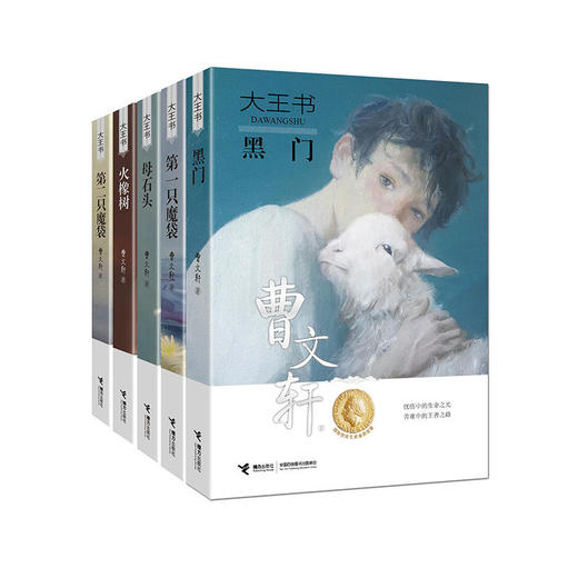 【全5册】大王书 第一/二只魔袋 黑门 火橡树 母石头 商品图0