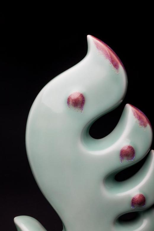 大美林鸡 商品图6