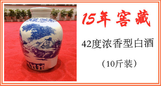 启动会专拍—15年窖藏42度浓香型白酒（10斤） 商品图0