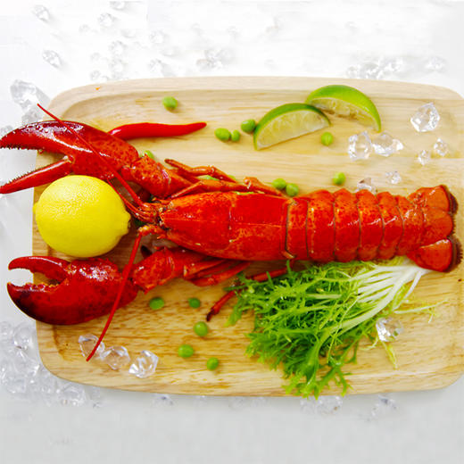 【备用】【砍价19.9元购】加拿大熟冻 波士顿龙虾(350g—400g) 商品图7