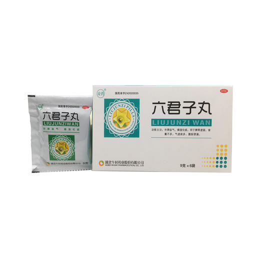 六君子丸  9g*6袋  湖北午时药业 商品图0