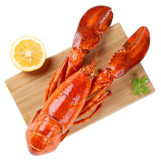 【备用】【砍价19.9元购】加拿大熟冻 波士顿龙虾(350g—400g) 商品图4