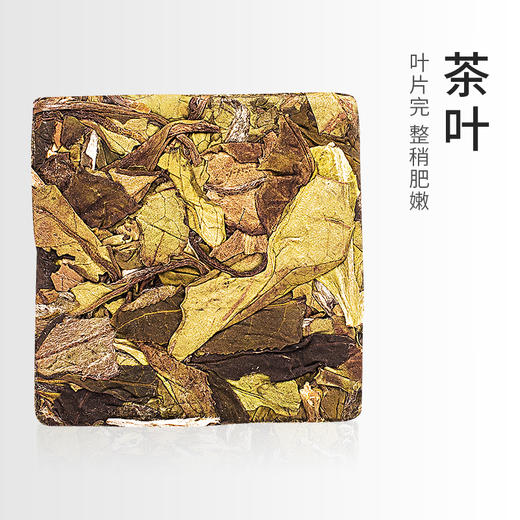 启山白茶 福鼎白茶 茶叶 西阳 贡眉 200g 商品图2