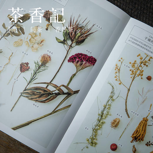 茶香记 《有花便是好时光》 （日）真美花艺设计学校 插花 花艺设计 装饰美术 商品图3