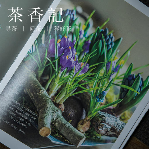 茶香记 《有花便是好时光》 （日）真美花艺设计学校 插花 花艺设计 装饰美术 商品图2